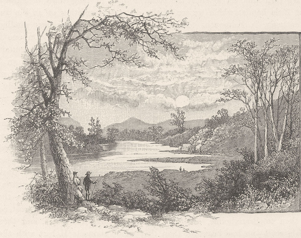 AUSTRALIA. Tasmania. Derwent 1890 old antique vintage print picture